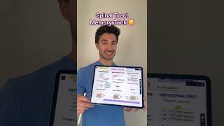 Spinal tract memory hack from my Neurology guide! #medschool #medstudent #usmle #usmlestep1 #step1