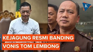 Vonis Tom Lembong Lebih Rendah dari Tuntutan, Kejagung Resmi Banding