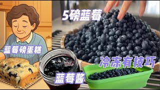 朋友送5磅蓝莓 熬酱 磅蛋糕 剩下如何冷冻 一颗不浪费【Garden Time 田园生活分享】2025 7