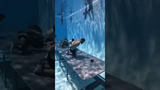 U.S Navy seal training.