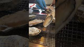 Grilled oysters from Toyama pref. #oysters #toyama #japan