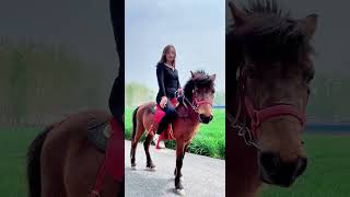 184、#回收骑乘大马和小矮马#骑乘马#养马场#野骑#德宝矮马