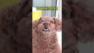 주인한테 입터는 중