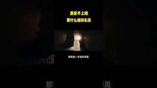 NINJA OMEGA SEC  |  黑客不上班，靠什么维持生活？ #黑客 #网络安全 #计算机 #漏洞挖掘 #渗透测试
