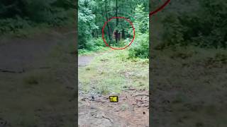 Top 5 Most Bizarre Unsolved Mysteries That Still Haunt Us! 😱🤯