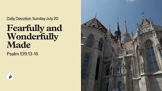Fearfully and Wonderfully Made – Daily Devotional