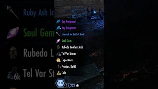 Some people never give up ☠️ #eso #necro #tank #meta #sucks