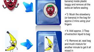 strawberry amp banana dna extraction
