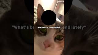 Why does it look so bad #cat #cute #kitten #sohappy