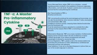TNF alpha, macrophages, T cell, NK cell, autoimmune disease, cytokine, inflammation, apoptosis, RA