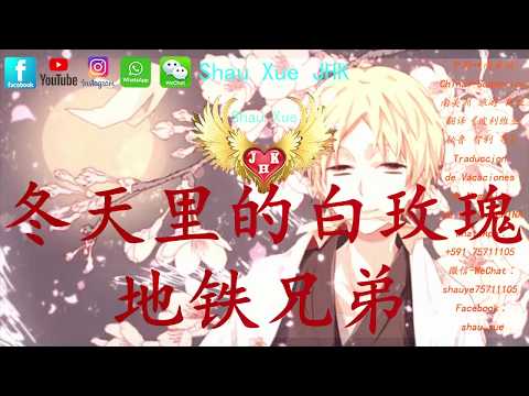 冬天里的白玫瑰 地铁兄弟【動態歌詞 Lyrics Video】