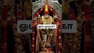ஓம் முருகா #murugan #devotional #aanmeegam #tamil #shorts