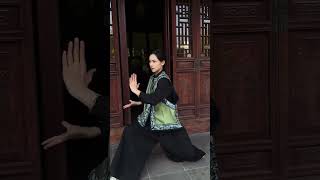 "无人扶我青云志，我自踏雪至山巅。" 太极拳 武术 东方美学 国风 太极