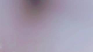 我家的小宝贝 （求订阅 求赞）