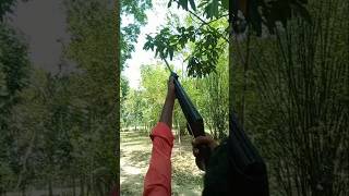 Sdb sniper #birds #hunting #shortvideo