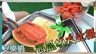安樂蝸｜西瓜切大比拼｜家品｜西瓜刀｜