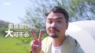 聯上APPLE-南科LM獨棟雙併別墅