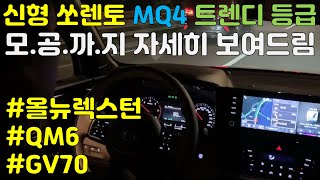 신형 쏘렌토 MQ4 트렌디 등급. 현미경으로 모공까지 자세히 보여드림.