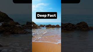 deep fact #facts #factdaily #youtubeshorts #shortvideo