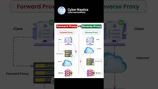 Forward Proxy vs Reverse Proxy 🔄🌐 — do you know the difference?