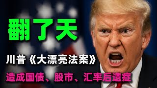 重大突破！川普力推的《大漂亮法案》，一個號稱要給"全民減稅"的法案，為何馬斯克敢公開反對？甚至怒懟川普，猛批該法案！#川普#大漂亮法案
