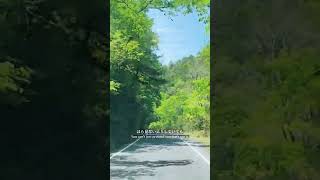 日本北海道的旅行推荐来啦 最优惠的旅行 旅行推 旅游攻略 日本东京旅游 去日本旅行的注意事项  京都遥遥 #日本旅游 #京都老司机 #定制旅游 #Camping #Guide