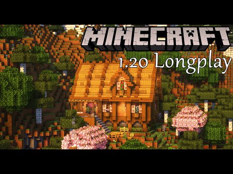Relaxing Minecraft Longplay - Building a Library
