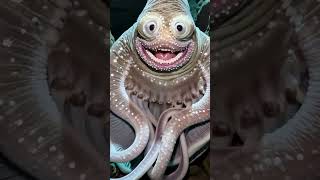 Octopus 🐙 #foundfootage #octopus #whatisthis #aihorror #creature