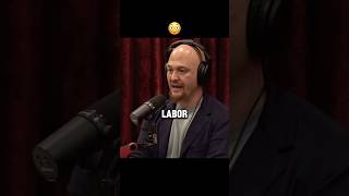 Joe Rogan AI Future #joerogan #podcast #ai #joeroganexperience #joeroganpodcast #aitoday