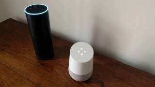 Amazon Echo interviews Google Home