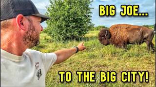 Big Joe Gets To Go!