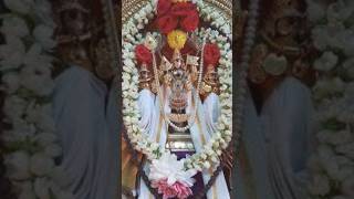 MURUGAN #devotionalsongs #devotionalhits #song #murugansong #tamilsong #tamilgod #tamildeity