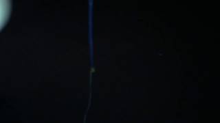 Slow mo | Random Videos #20