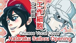 Chinese Vocal Cover-Hataraku Saibou Opening「Mission! Ken・Kou・Dai・Ichi」(Vocal by DeluCat&MaidNeko)