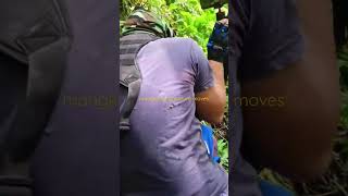 The Signature moves of Mangkiting @mangkitingghosttv6050 @TATSKIE.ATv-34