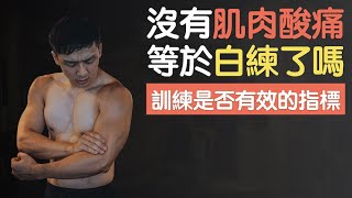 訓練後不會痠，是不是等於沒練到？
