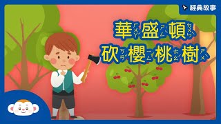 【經典故事】華盛頓砍櫻桃樹｜樂樂TV