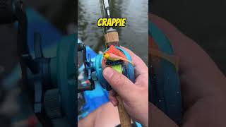 This BFS Reel LAUNCHES Crappie Baits!
