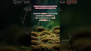 eng sara iqtiboslar. obuna bo'ling.  #youtubeshorts #rek #quotes #filosofía #mantık #rekomendasi