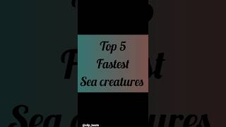 Top 5 fastest sea creatures #OceanAnimals #MarineLife #SeaCreatures #AnimalFacts #Top5
