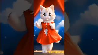 cat dance#catdance #catshorts #catvideos #cotton #dance#funny #sorts #sortvideo #trending #cat
