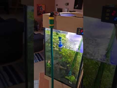 Upgraded DIY siphon/refill "Python" in action during winter.