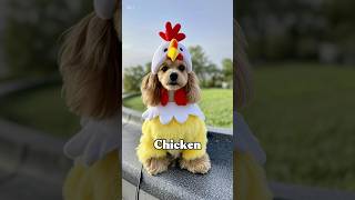 Chicken Banana チキンバナナ　アリスバージョン2 #chicken #cute #チキンバナナ #ダンス #remix #techno #housemusic #dj #cover