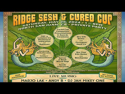 Ridge Sesh & Cured Cup