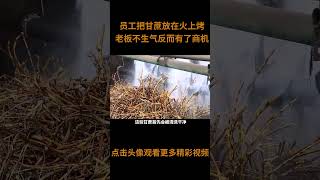 员工把甘蔗放在火上烤，老板竟发现了商机，甘草金桔的制作方法#甘草金桔 #金桔 #冰糖金桔干
