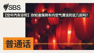 【空中汽车诊所】你知道保持车内空气清洁的这几招吗？ | SBS Mandarin - SBS 普通话电台