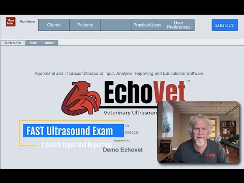 FAST Examation with EchoVet