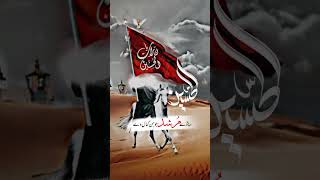 asi nokar pak#hussain#de#ha asi #nokar pak #ghazi #de#ha