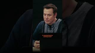 Илон Маск: Нейросети отберут ваши рабочие места