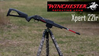 Winchester Xpert Rimfire - First Impressions